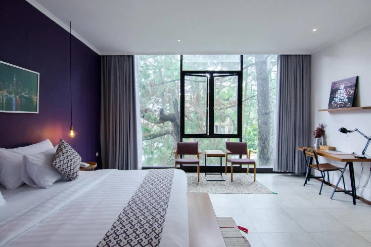 Deluxe Double room