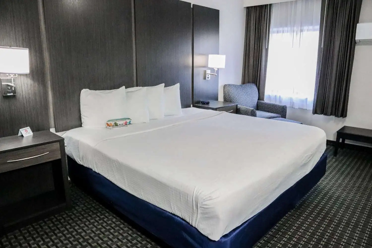 Best Western Ocala Park Centre I-75