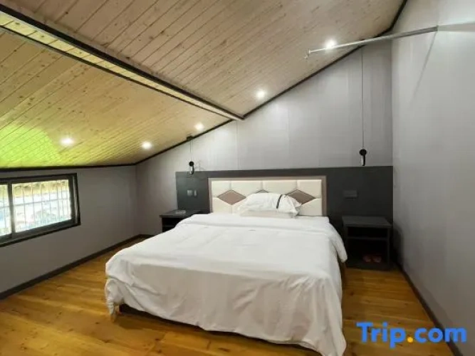 Double Apartment