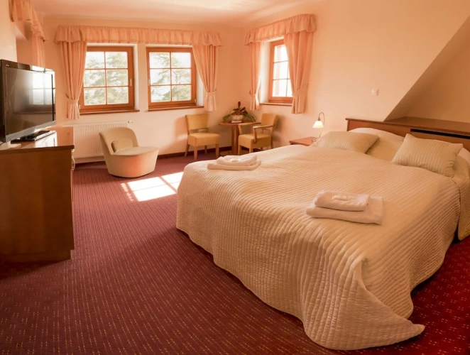 Comfort Apartment