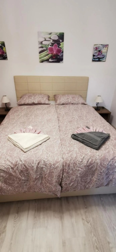 Lilikoi Apartment