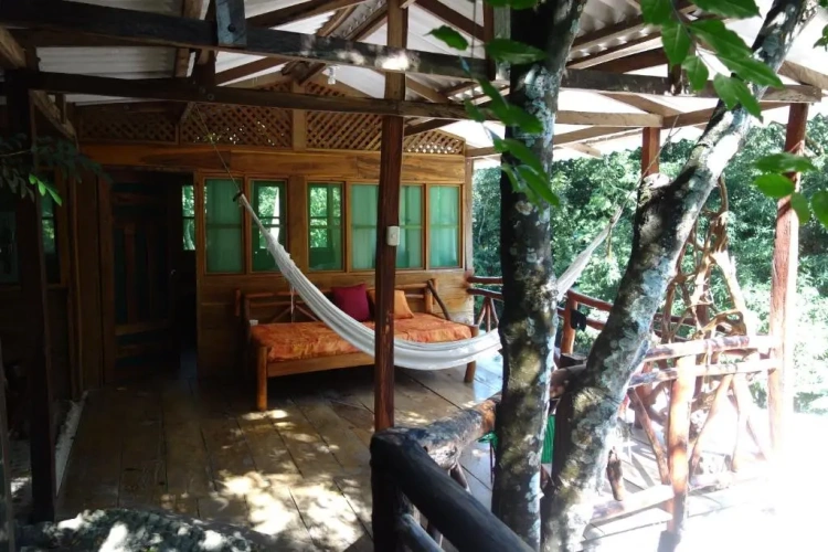 1 Bedroom Chalet