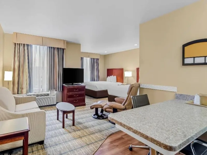 Standard Suite
