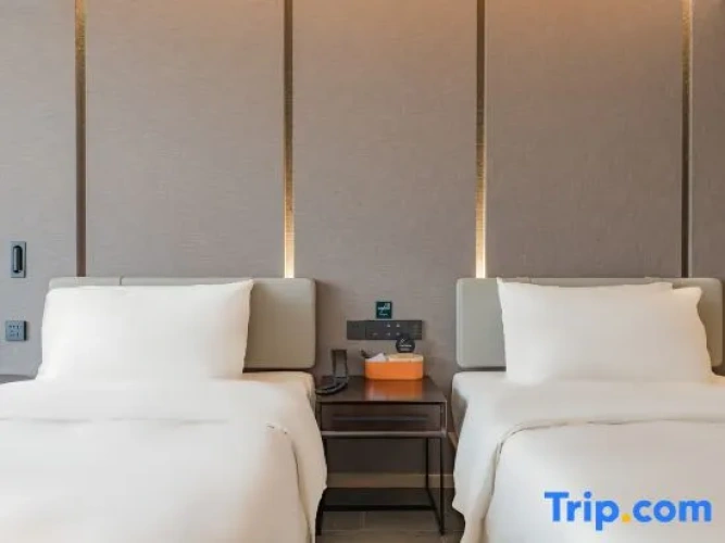 Executive Twin room