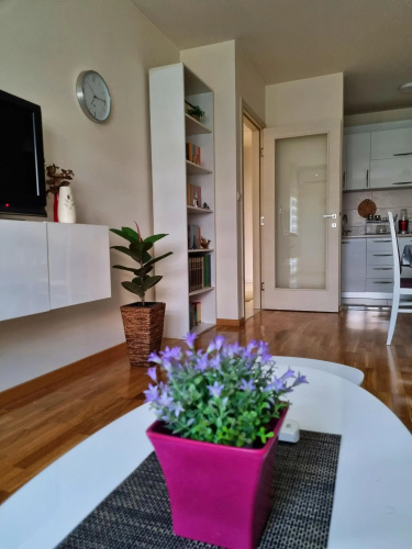 Riverside Apartment