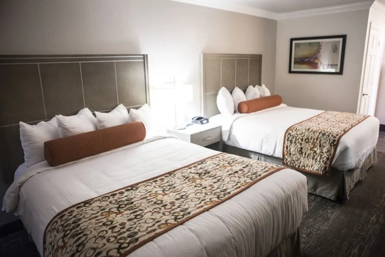 Economy Double room