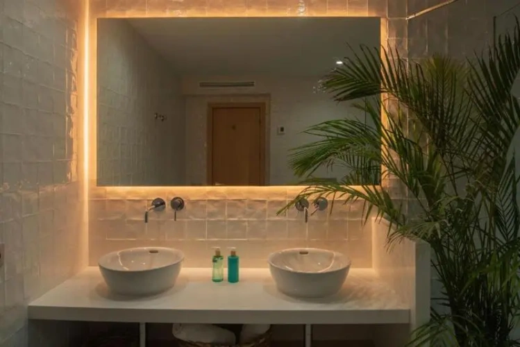 Standard Suite