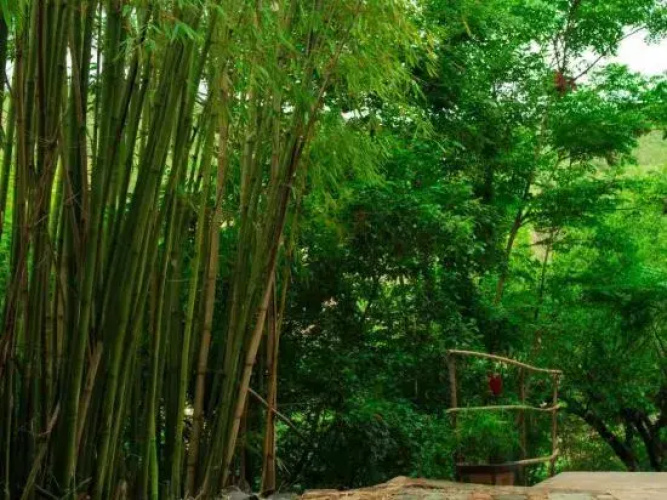 Nuodeng Yuanse Homestay