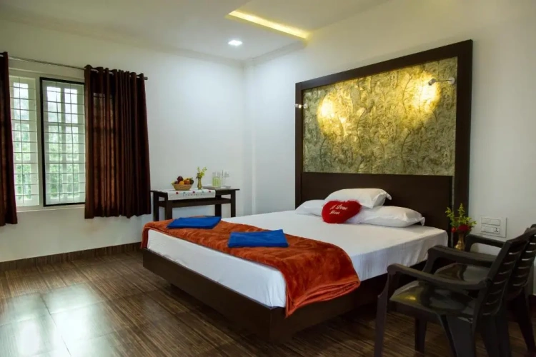 Deluxe Double room