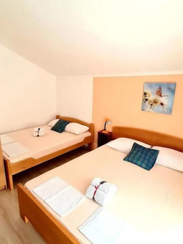 Accommodation Petrović
