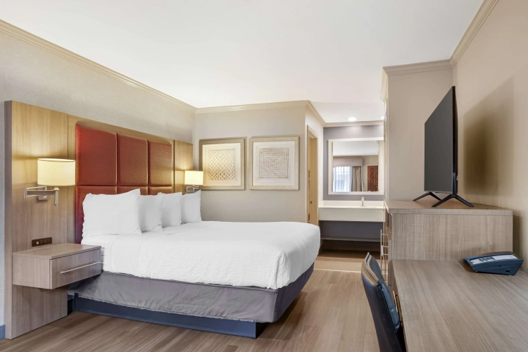 Standard Double room