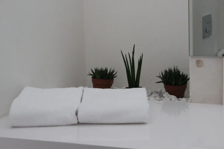 Deluxe Double room with park view