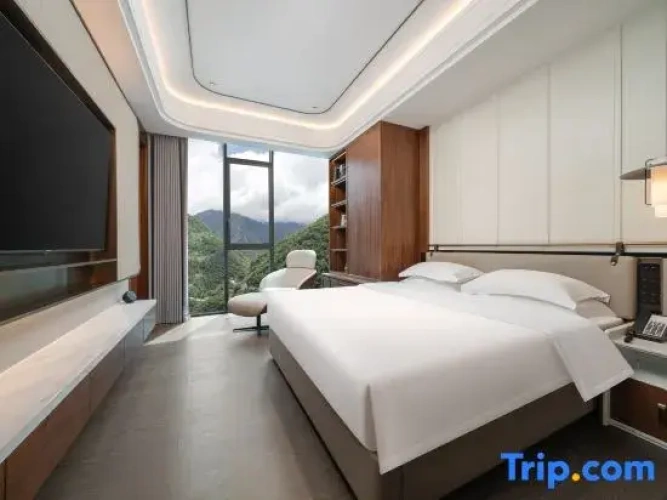 Double Family Suite