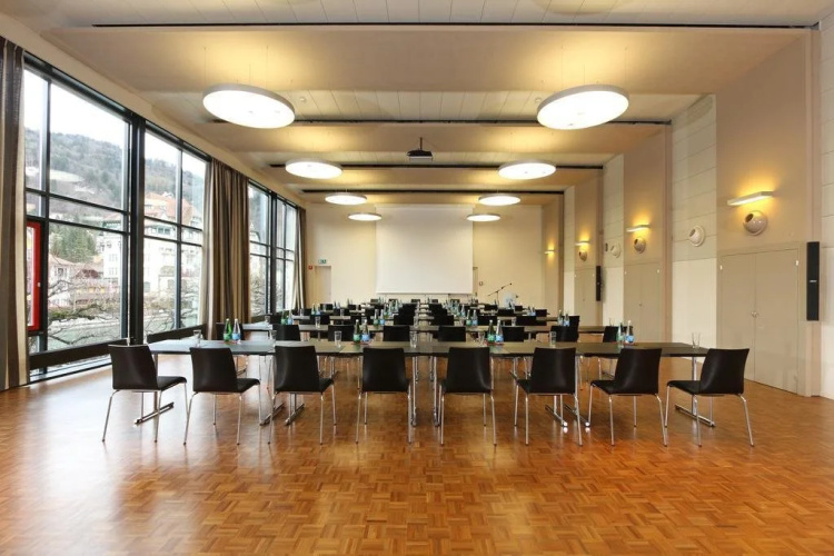 Hotel Aare Thun