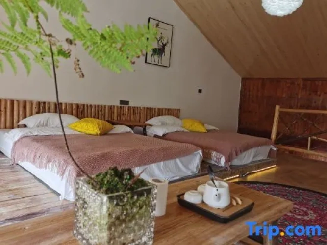 Family Duplex Suite