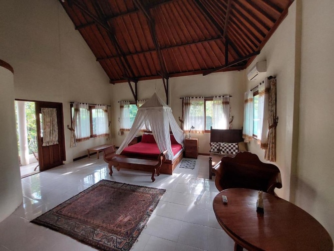 Deluxe Double Suite with balcony and with view