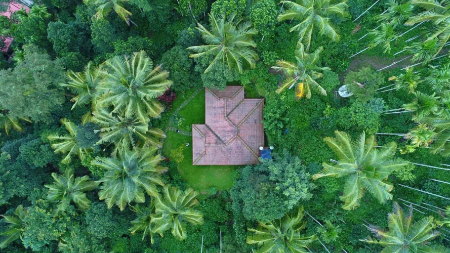 Bamboo Creek Resort
