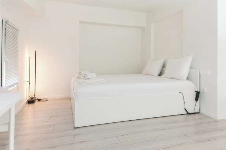 Luxury Apartment