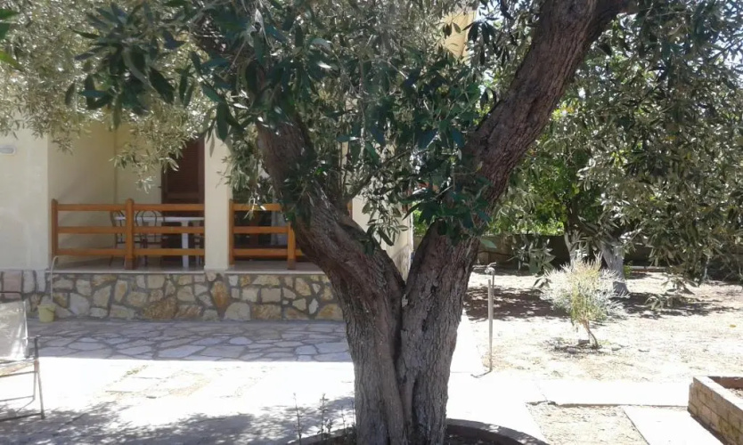 Lemon Garden