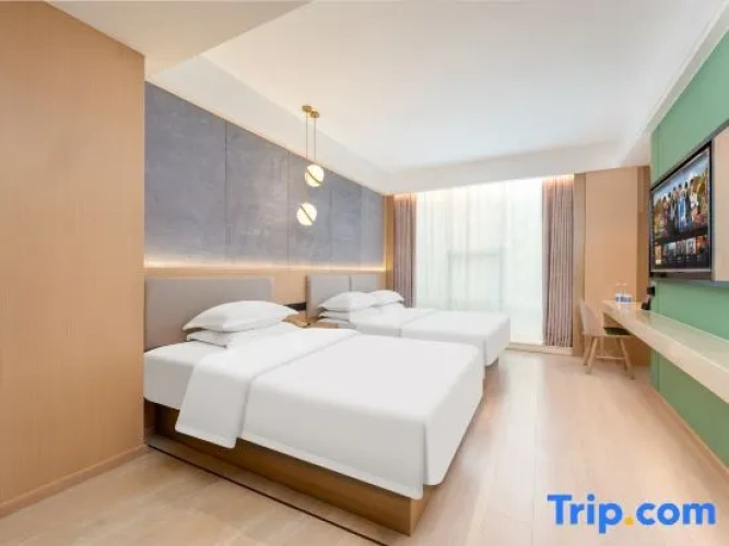 Business Family Suite