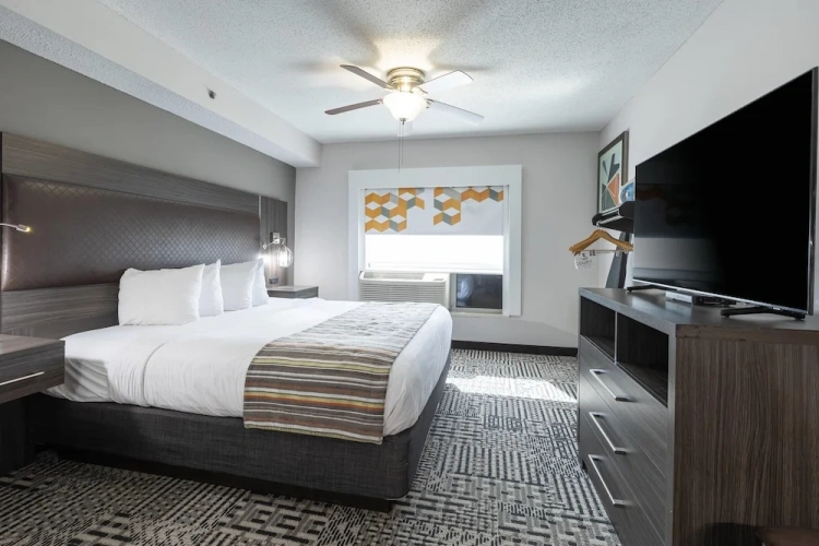 1 Bedroom Suite