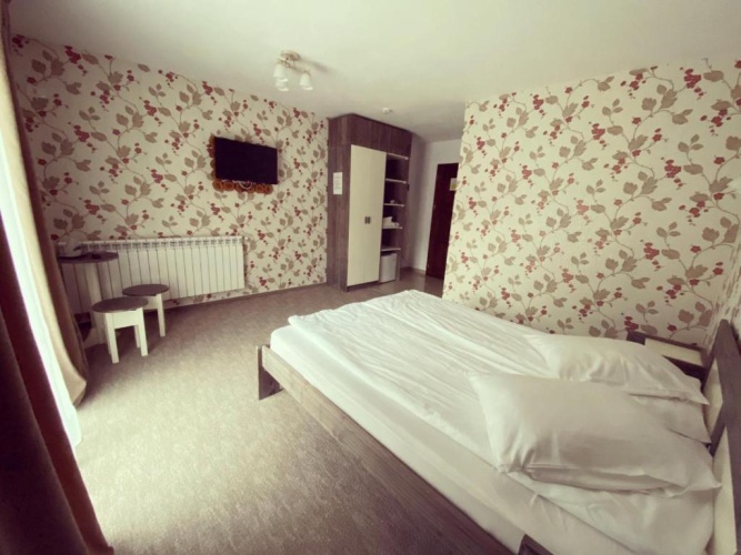 Standard Twin room with mountain view