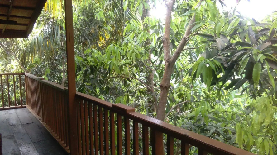 Zahir Retreat