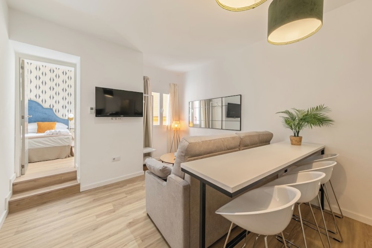 Deluxe Apartment with courtyard view