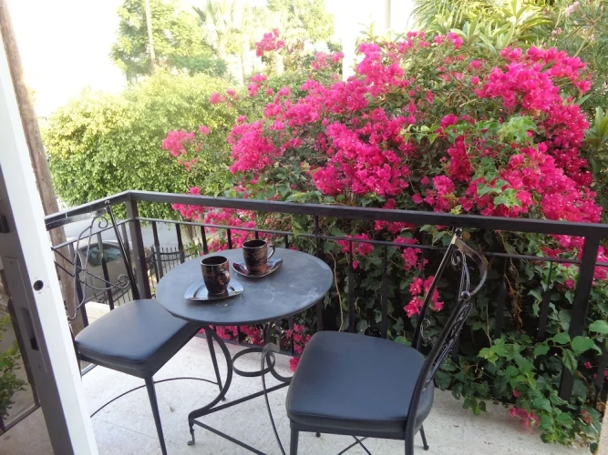 1 Bedroom Apartment with balcony