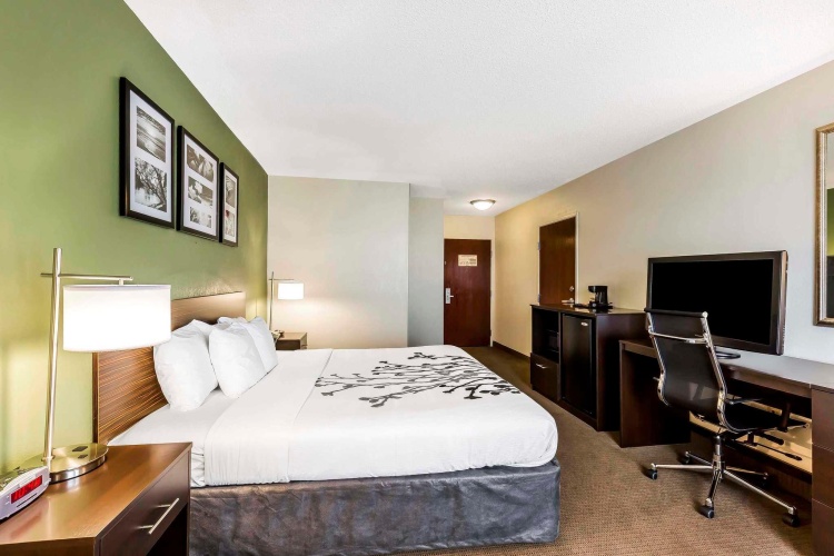 Standard room