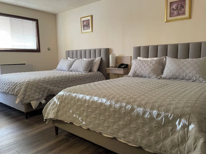 Standard Double Family room