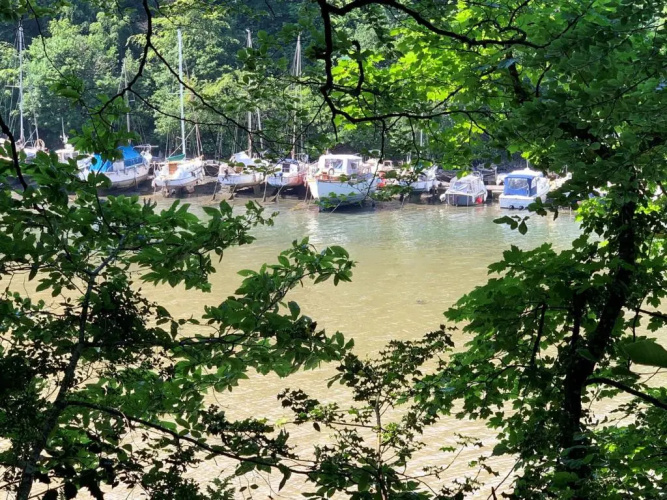 Little Haven