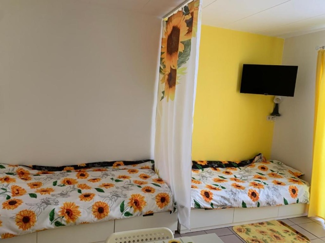 Standard Twin room with garden view