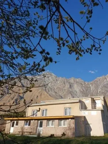 Tsitsia and Stepan Guest House
