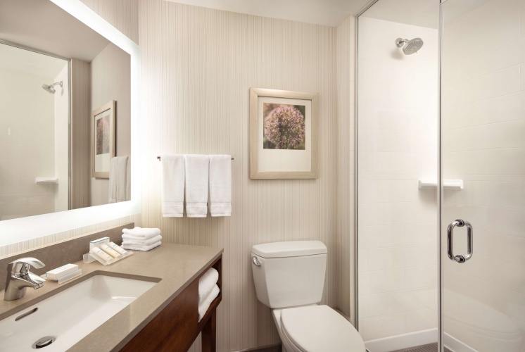Hilton Garden Inn Long Island City New York photo 10