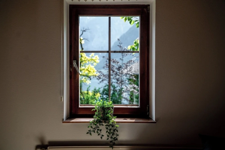 Classic Apartment