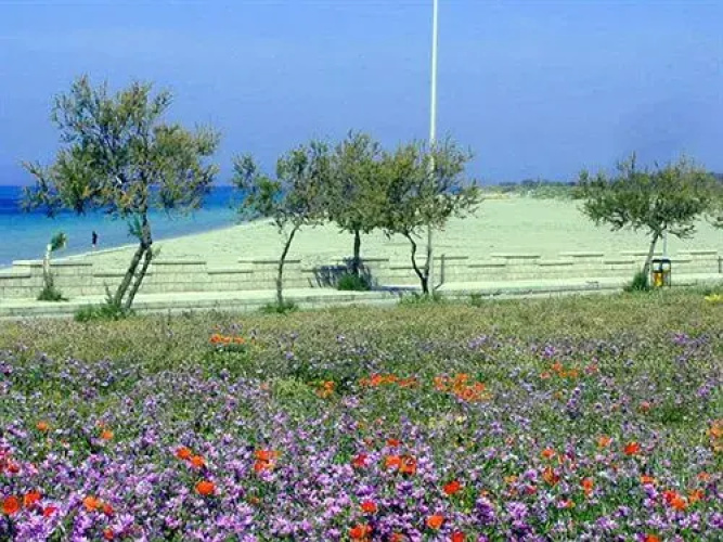 Apulia Residence Torre Mozza