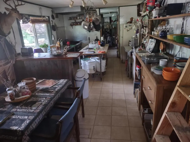 Buffalo Bungalow