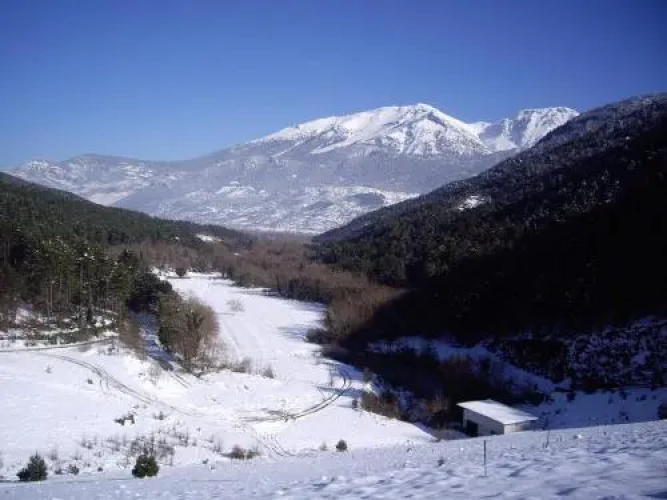Akrothea Hotel