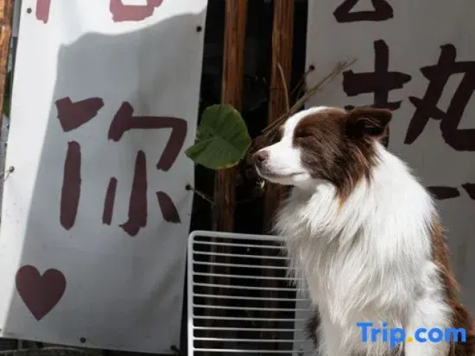 Dali Lingxi Garden Homestay