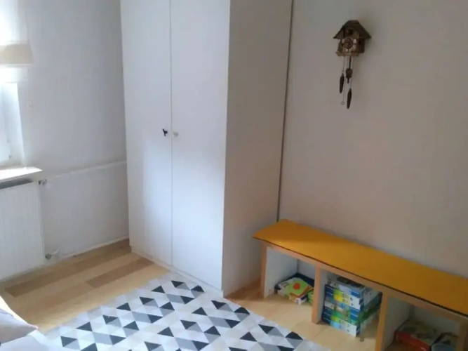Pine Cones in the Haslehaus