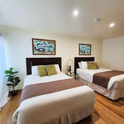 Executive Quadruple room
