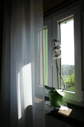 Holiday Home Demark