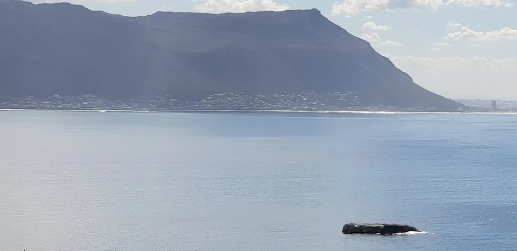 Whale Tide Guest House