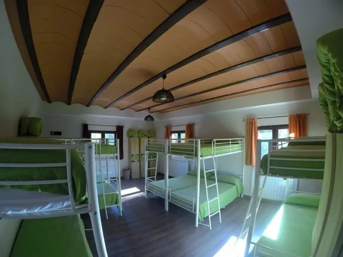 Bed in Dorm