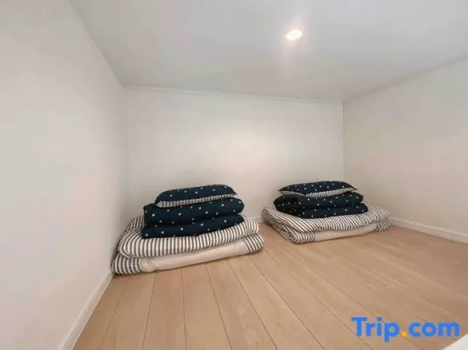 Double Apartment