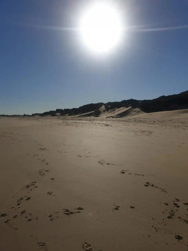 The Sparrow's Nest Beach-Front Self-catering