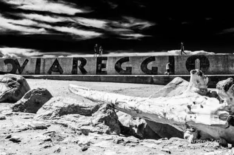 Sol  Mare