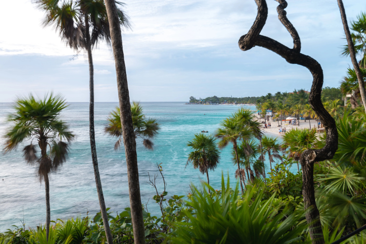 Kimpton Grand Roatan Resort & Spa - An IHG Hotel photo 28