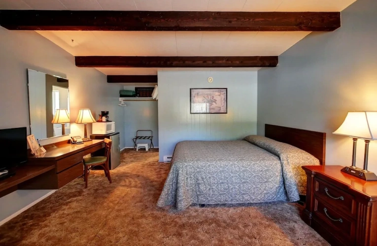 Classic Single room